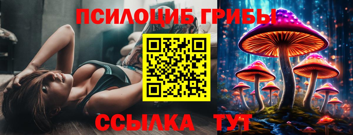 Вольск  Галлюциногенные грибы Magic Shrooms  Вход с VPN 