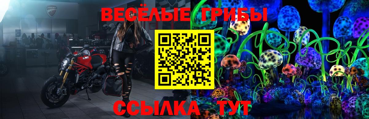 Псилоцибиновые грибы MAGIC MUSHROOMS Вольск